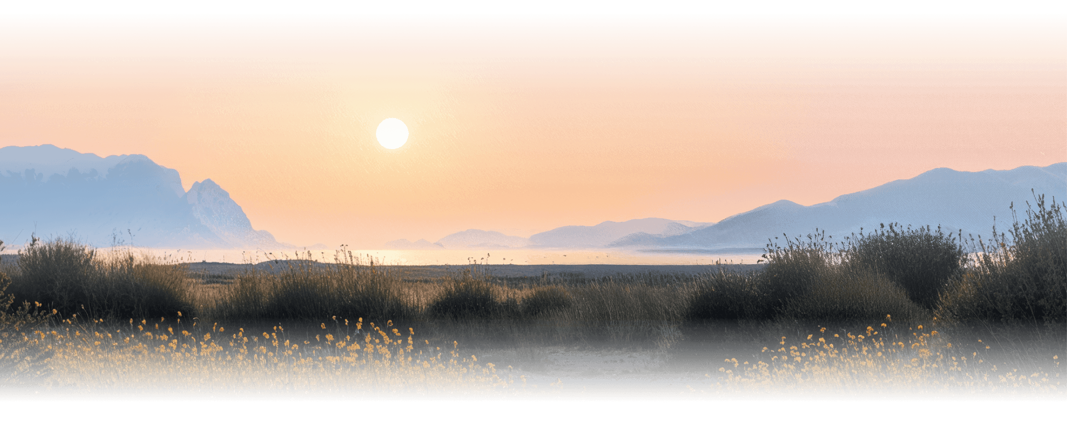Community background